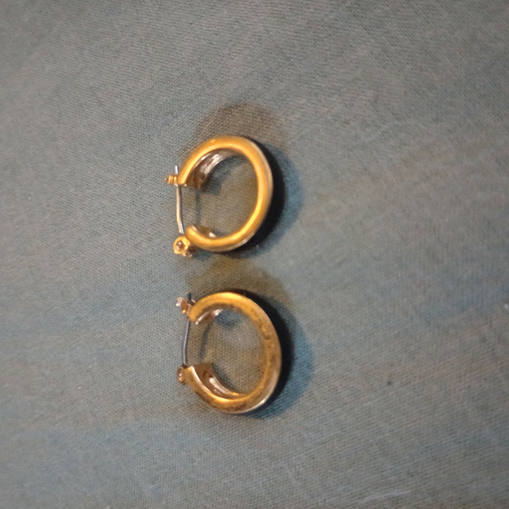 Elegant Gold Hoop Earrings
